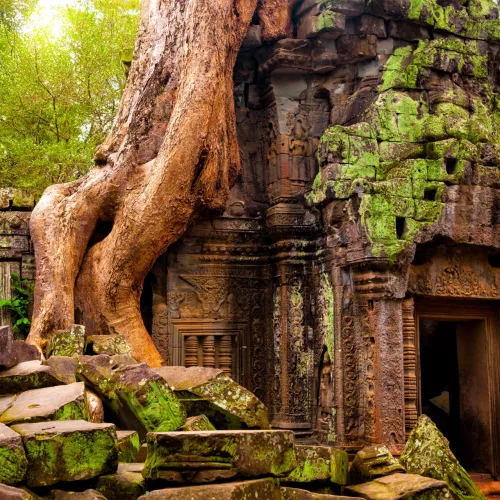 Découverte du Cambodge Visuel